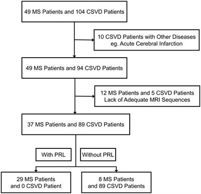 Paramagnetic rim lesions as a biomarker to discriminate between multiple sclerosis and cerebral small vessel disease